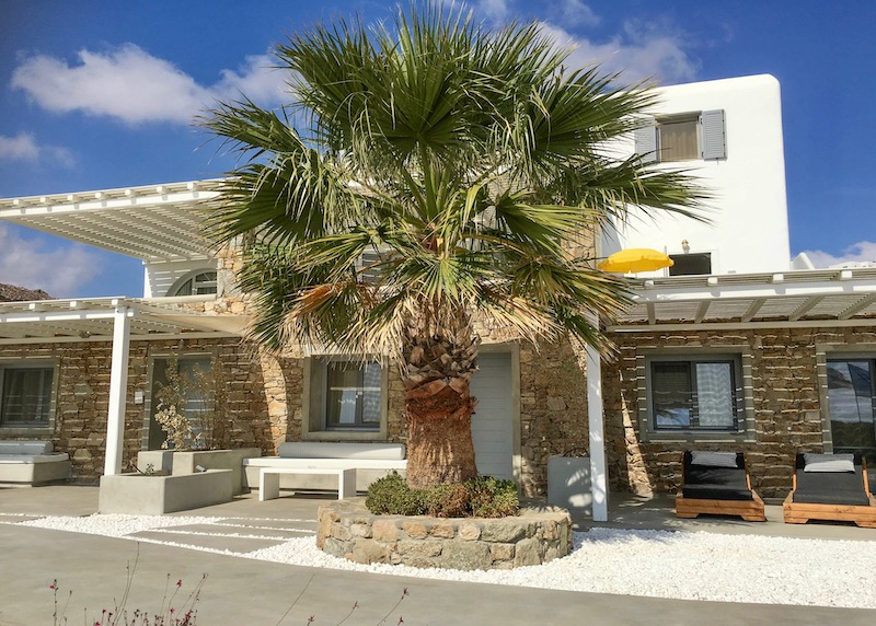 A palm tree in front of Elia Mykonos Resort