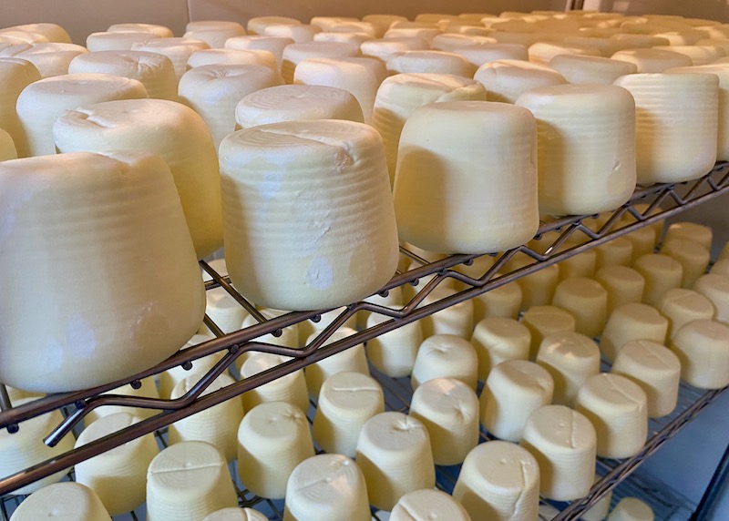 Freshly prepared cheeses at Mykonos Farmers in Agios Lazaros, Mykonos