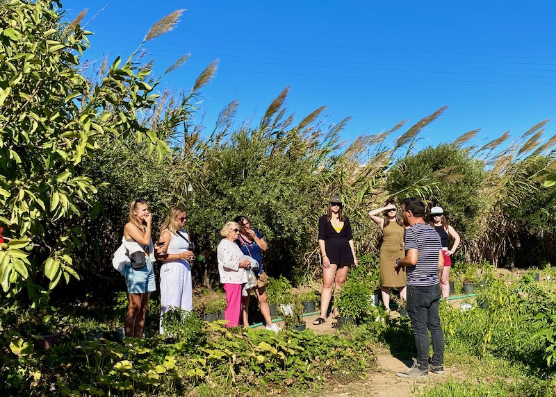 A wine and farm tour at Vioma Organic Farm in Mykonos
