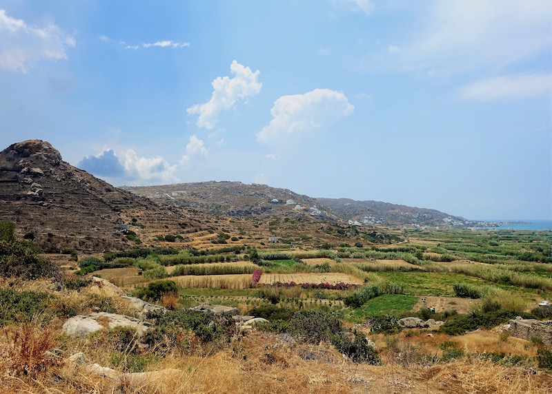 Naxos landscape with a mountain, farms, and sea