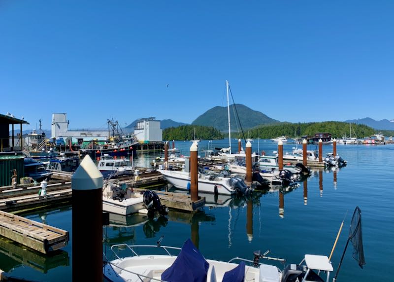 Boats docked at a marina with a mountain in the background