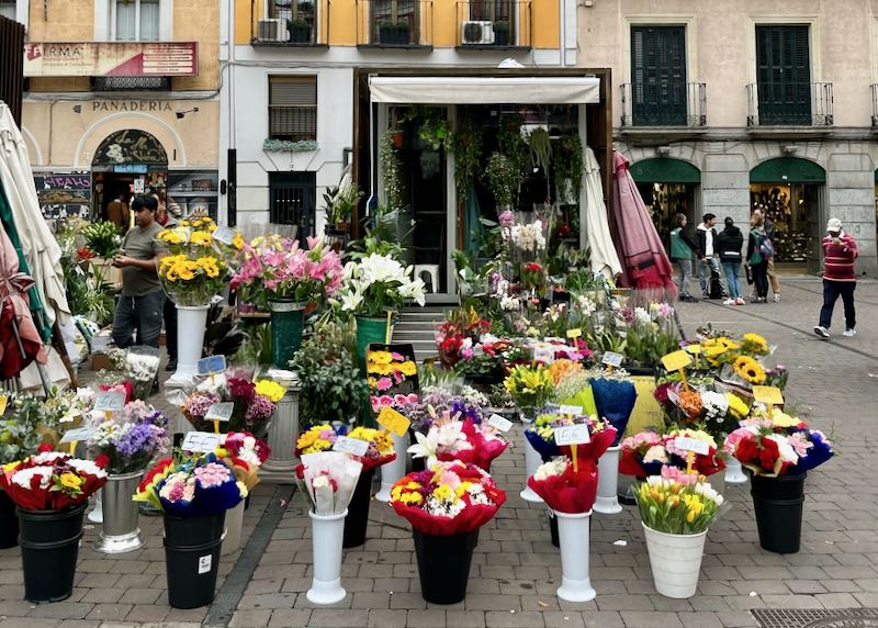 Buckets of colorful flowers for sale on a pedestrian plaza 