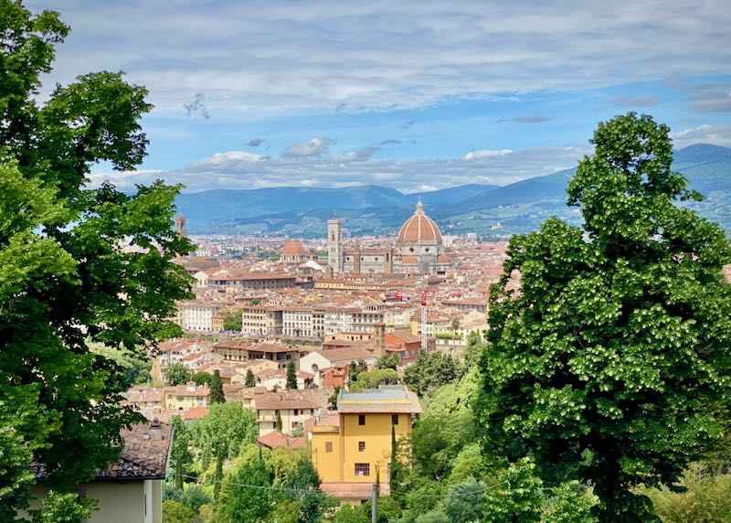 View of the Duomo and central Florence through trees 