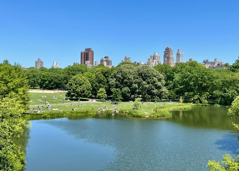 View of skyscrapers rising above the trees of Central Park in New York City