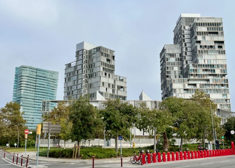 Large, window-covered high rise buildings rising above trees 