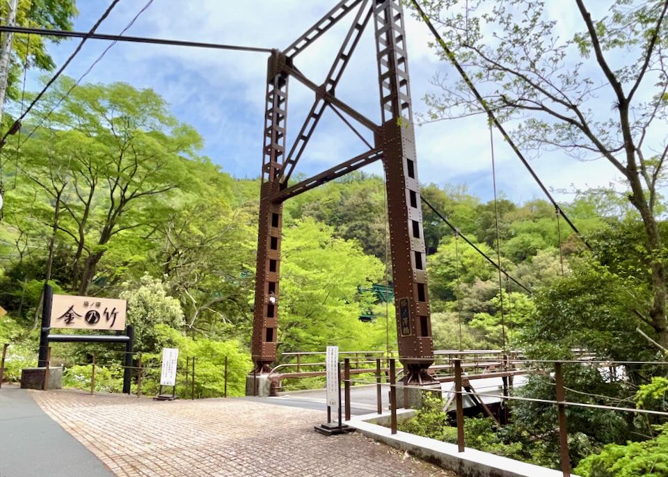 A suspension bridge sits over trees.