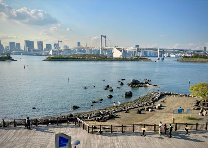 View looking over the water to the city of Tokyo