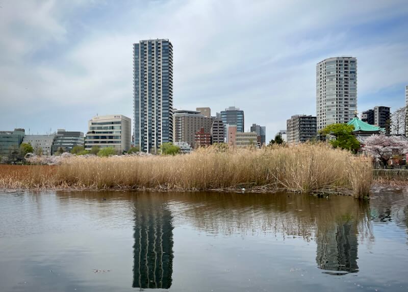 Glass and steel skyscrapers seen across a pond, which also shows their reflection