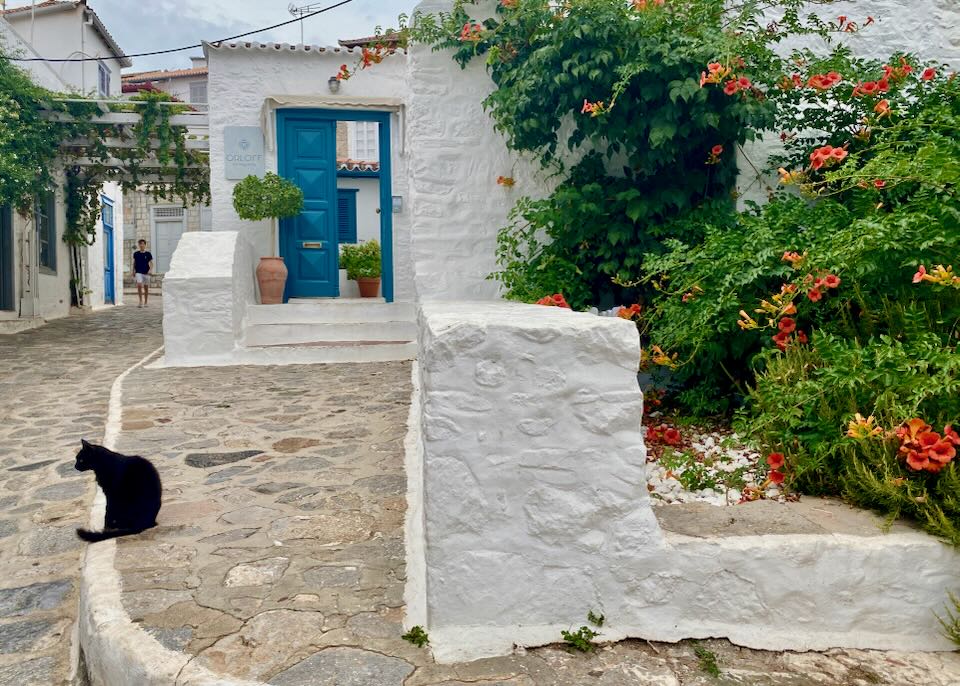 A black cat sits in front of a rustic white stone building with a blue doorway.