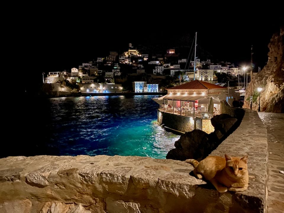 A cat sits on a stone wall in a harbor at night, and stares at the camera