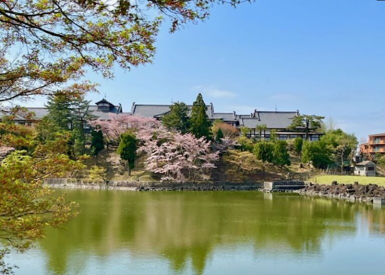 WHERE TO STAY in NARA Best Areas & Neighborhoods