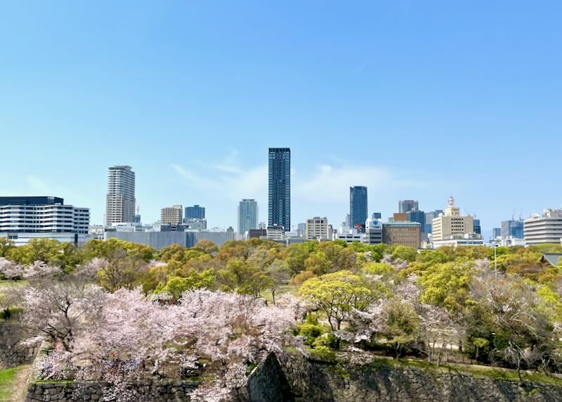 A cityscape with some tall buildings and cherry blossom trees.