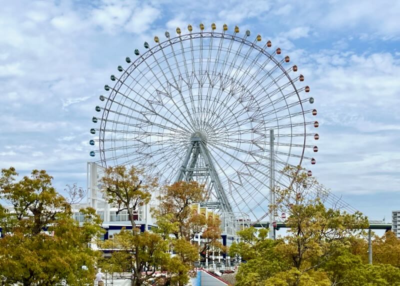 A large Ferris Wheel sits in the trees.