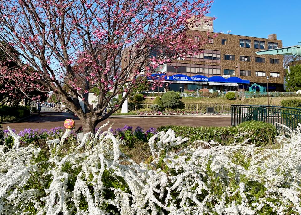 A pink flowering tree and white flowering plants sit in front of a hotel.