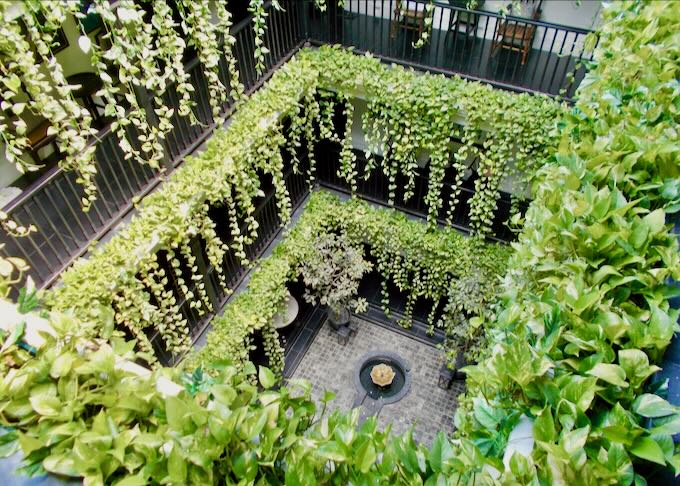 Green plants dangle down multi levels of an interior courtyard.