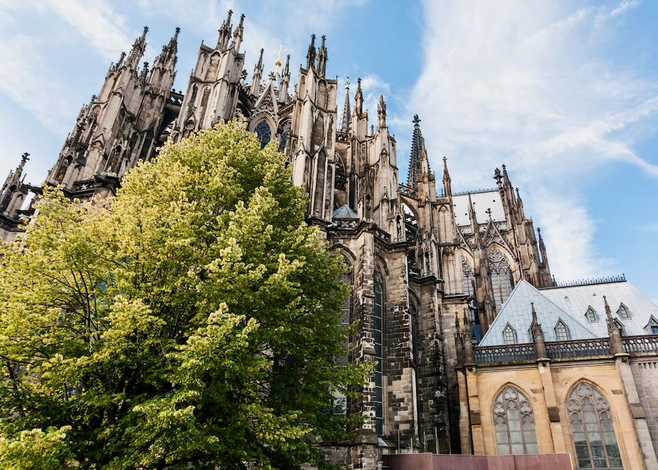 Gothic cathedral spires behind a leafy green tree