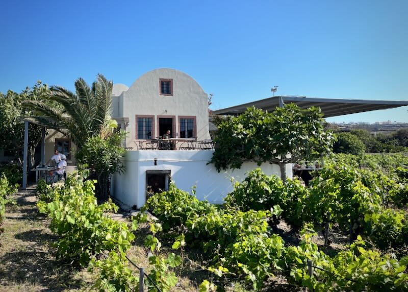 Cycladic-style winery surrounded by vineyards