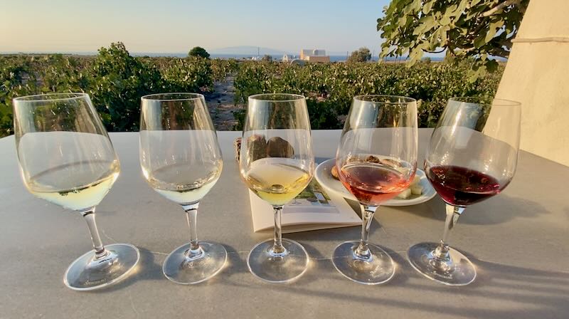 Glasses of different-colored wines lined up in a row overlooking a vineyard