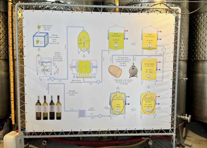 An illustration of the wine making process, set up in front of large vats of wine