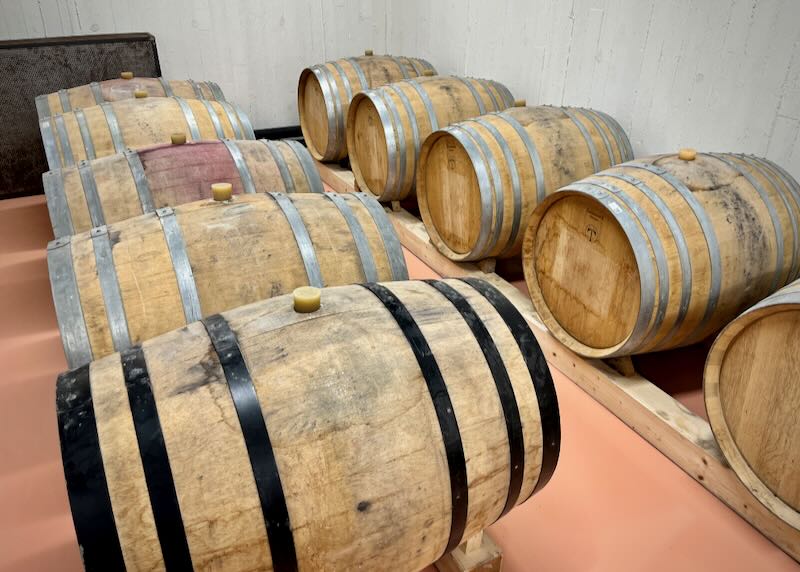 Oak wine barrels lined up in a row.