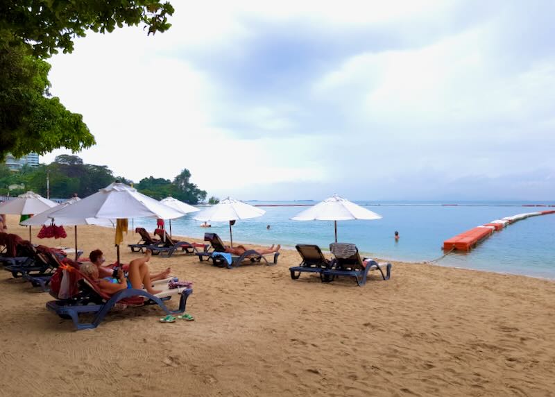 People lounge in beach chairs on a sandy shore.