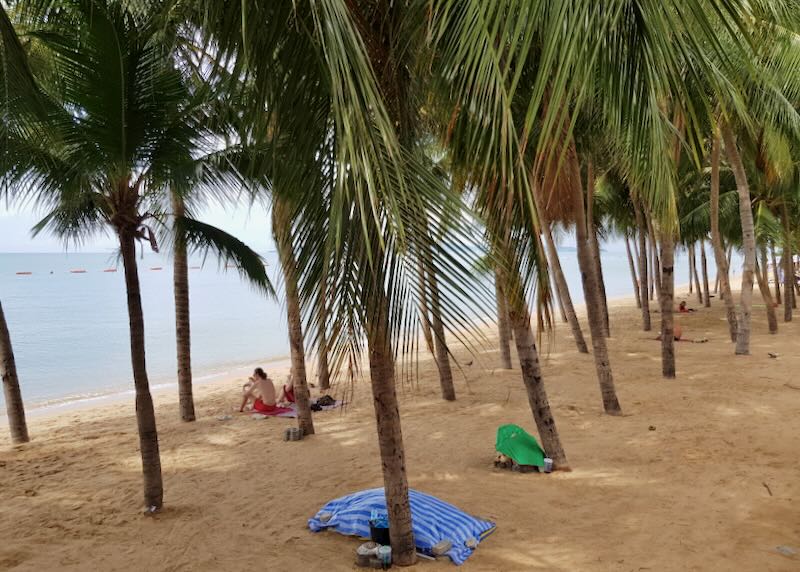 Two people sit on the beach and eat under palm trees while staring at the sea.