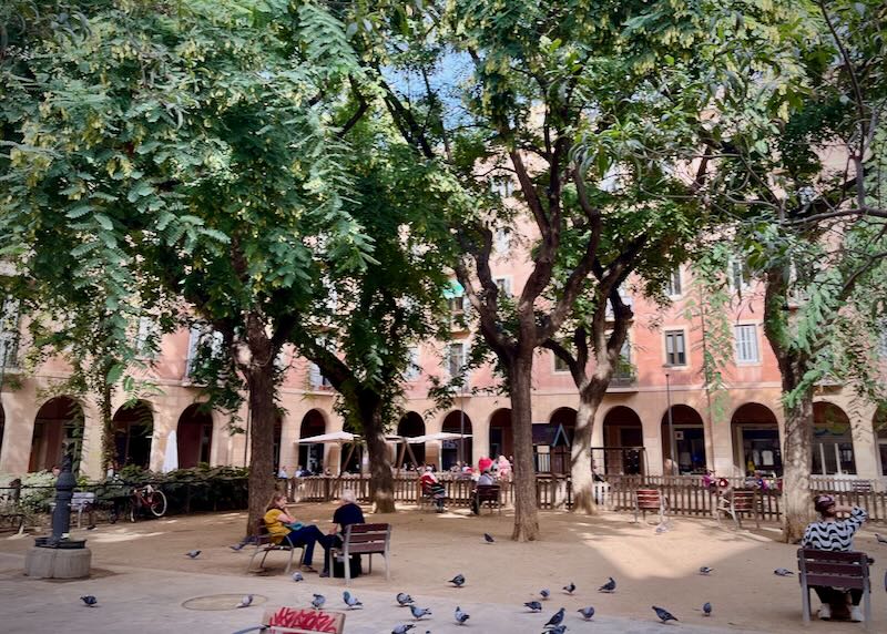 People sitting in a leafy square surrounded by pink buildings with arched colonnades, with pigeons at their feet
