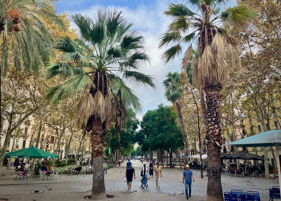 Palm-flanked pedestrian thoroughfare in Barcelona