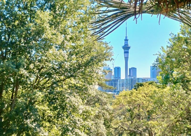 Green trees fold in on each other to create a hole that provides a view of the city.