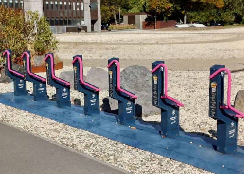 Metal racks with bright pink bars for bikes to charge.