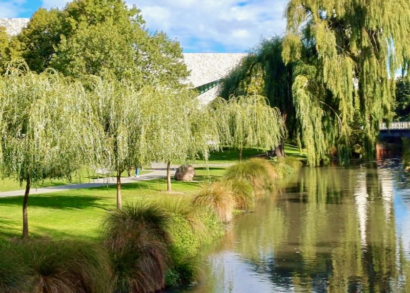 Willow trees dangle leaves into a river's edge.