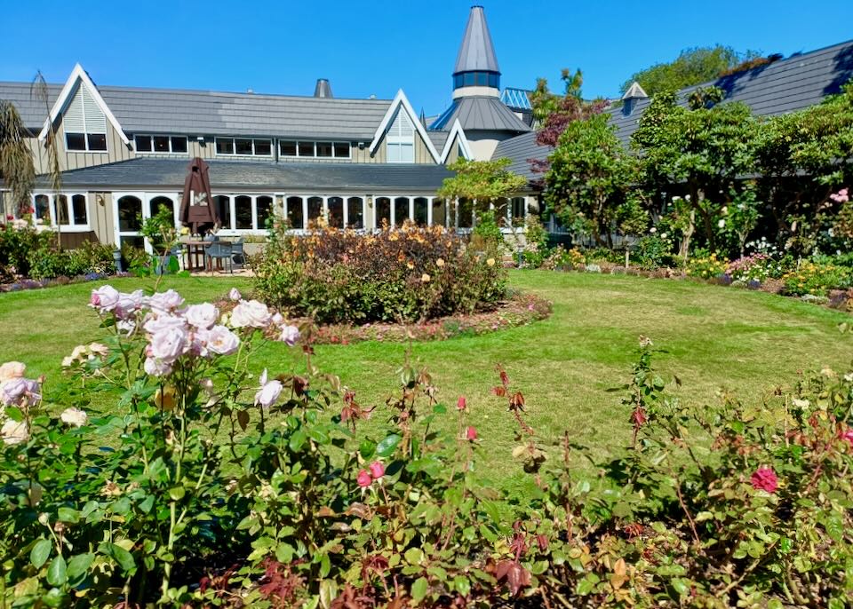 A green courtyard with pink roses, green grass, trees, and a patio.