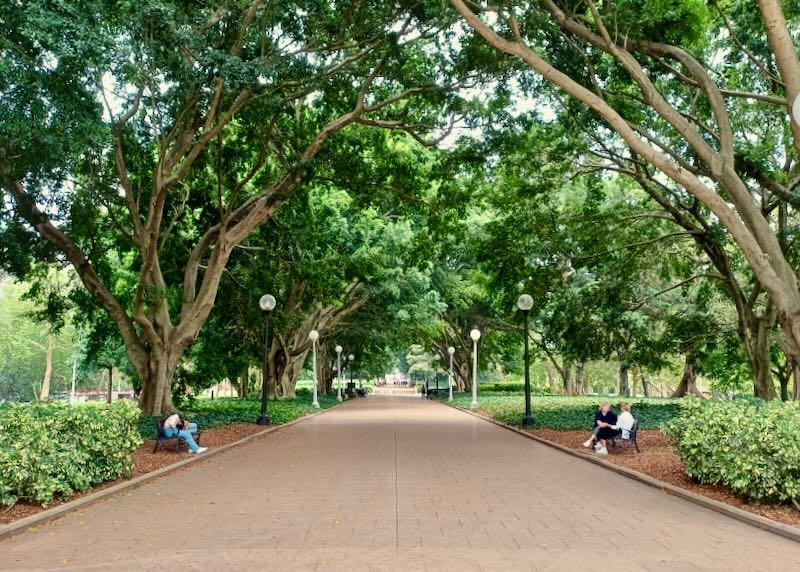 A wide orange brick path with benches on the sides flows under lush tall trees.