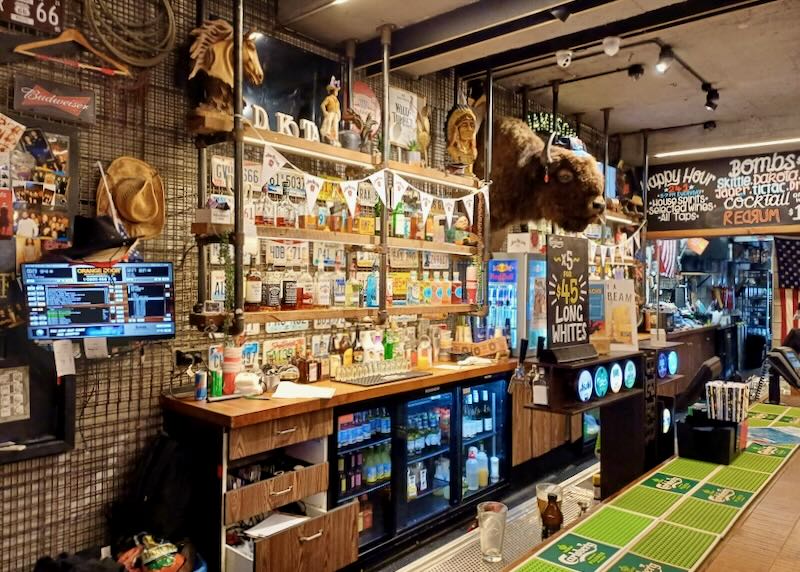 A stuffed buffalo hangs on a bar wall.