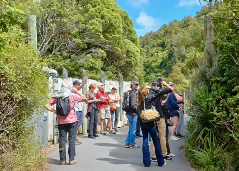 A crowd of people stare up at the tees on a tour.