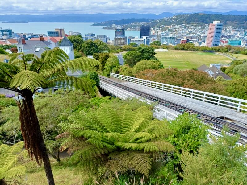 A complete view of a city from the top of a hill.