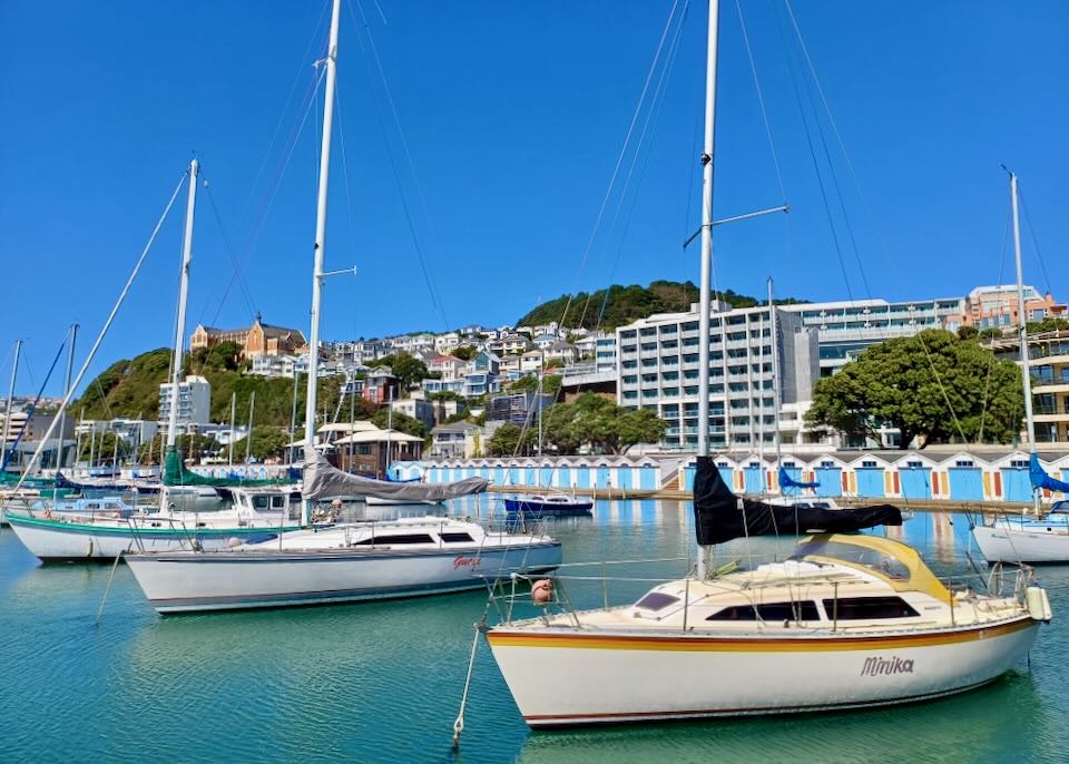 Large sailboats sit in a marina.