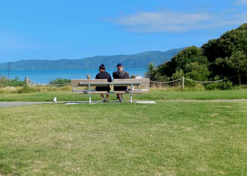 A couple sits on a bench in a park overlooking the ocean.