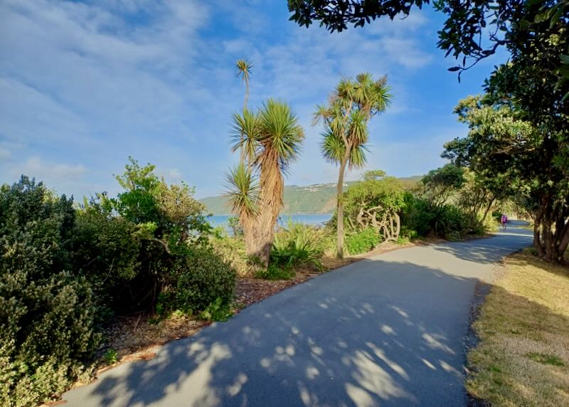 A cyclist rides along a paved path through trees.