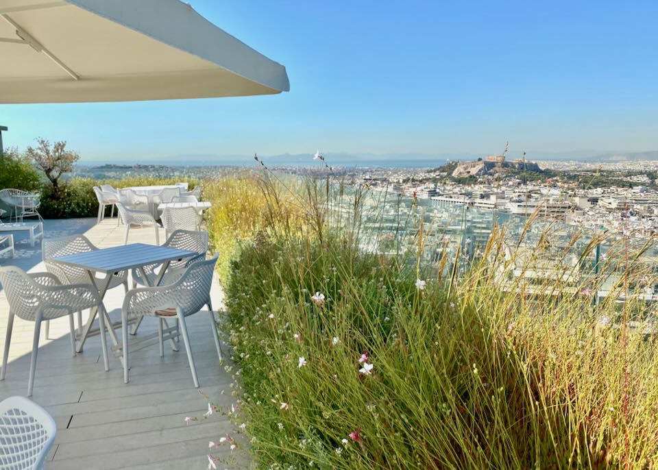 View over flowering grasses of a rooftop balcony to the Acropolis in Athens