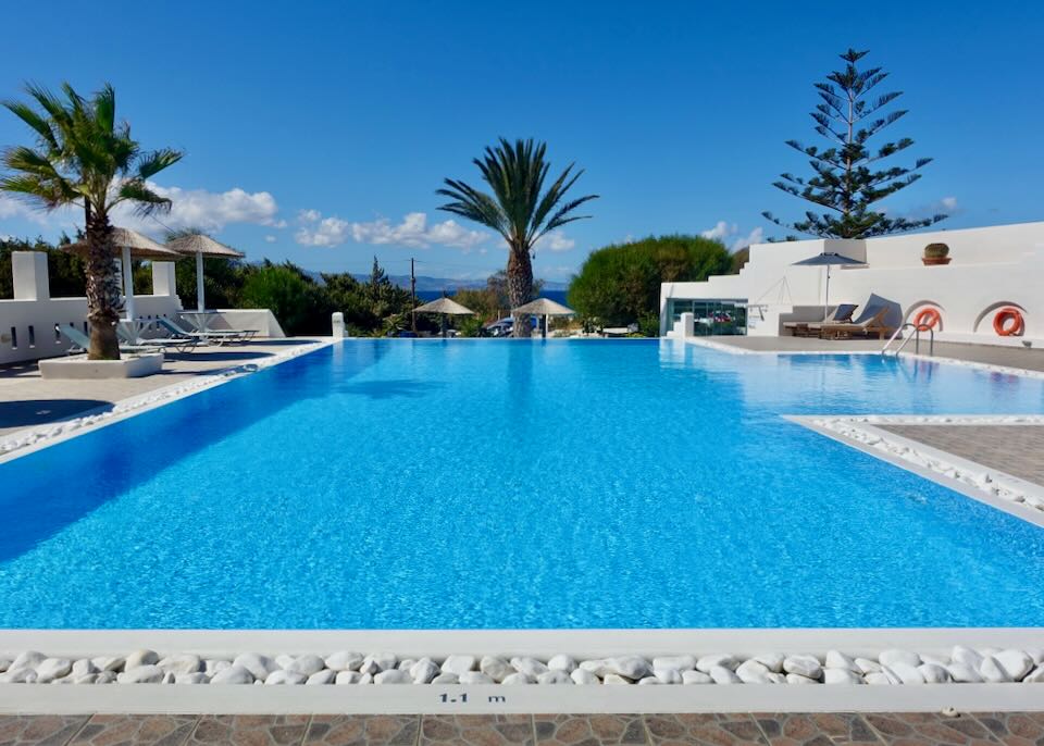 Blue swimming pool wit palm trees in the background.