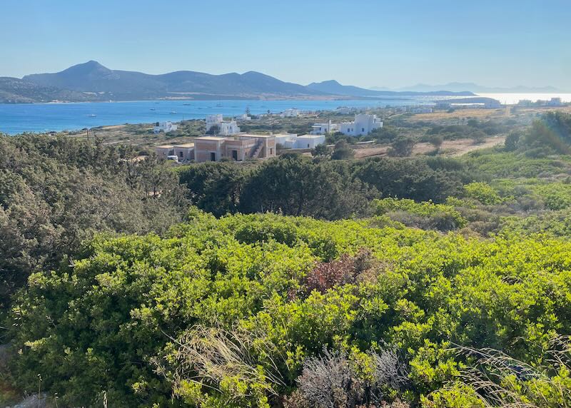 View over leafy vegetation to the sea and a Greek village