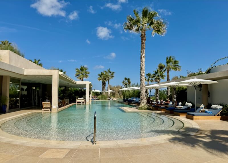 Beautiful swim terrace lined with palm trees on a sunny day