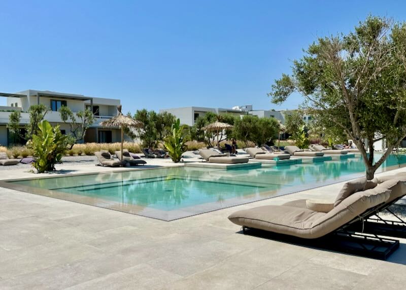 Hotel swimming pool surrounded by comfy sun beds and palm trees