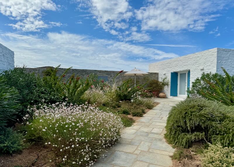 Manicured Mediterranean herb garden path leading to a boxy white Cycladic building with blue shutters