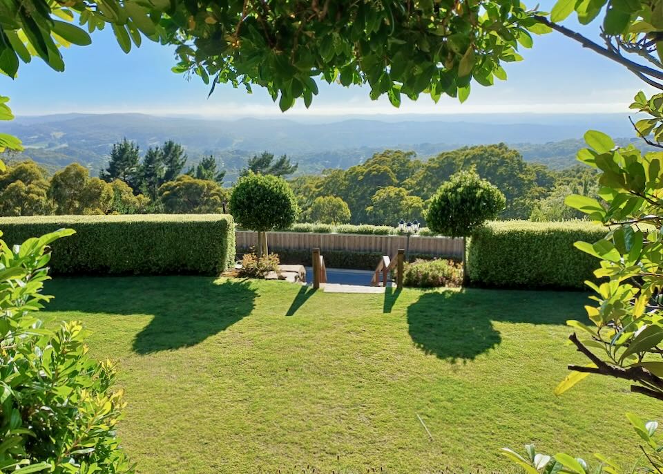 Green grass and trees on a hilltop.