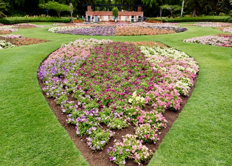 A flower bed with purple, pink, and red flowers make the shape of a heart on green lawns.