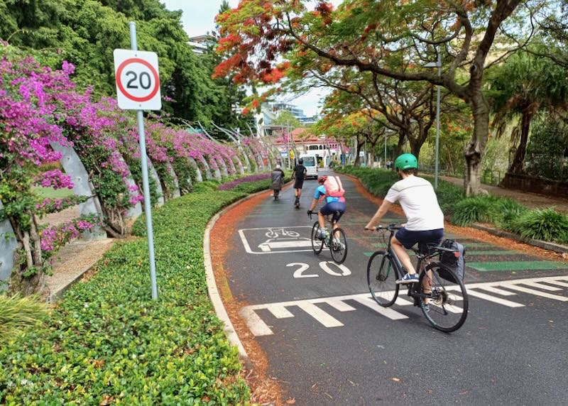 People ride bikes in a bike line.