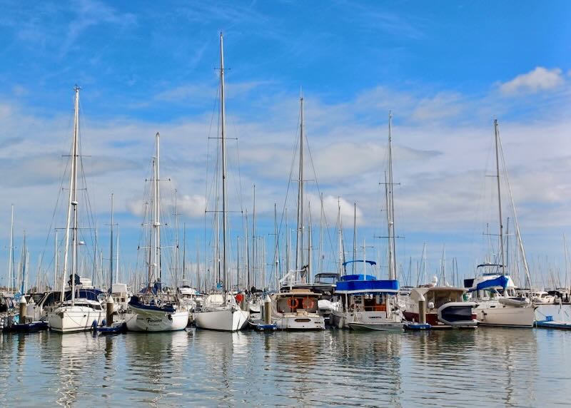 Sailboats sit in a marina, with masts down.