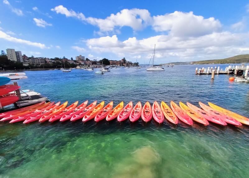 A row of red and yellow kayaks float in a green harbor.